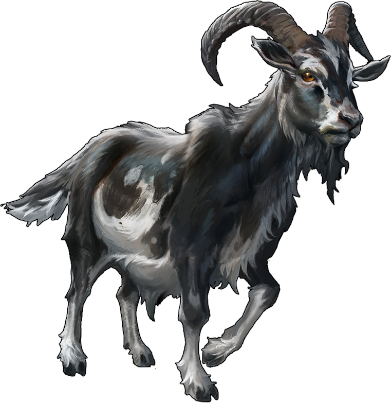 Night Goat