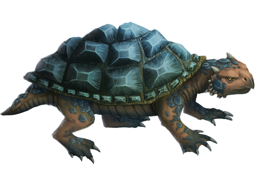 Ashen tortoise